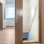 Lidobo 01 Herdwangen-Schönach
